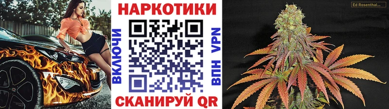 Виды наркотиков купить Куртамыш Cocaine  Галлюциногенные грибы  ГАШ  Меф 