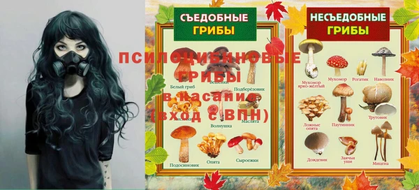 крисы Навашино