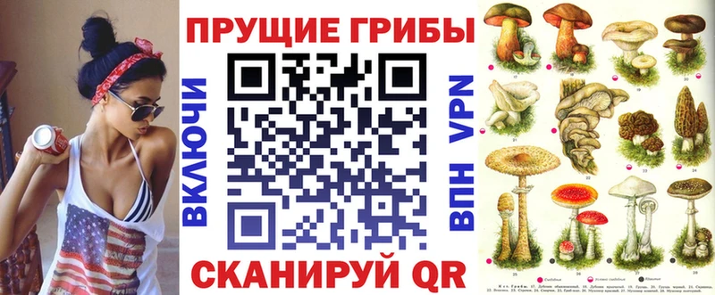 Псилоцибиновые грибы мицелий это наркотические препараты Куртамыш магазин